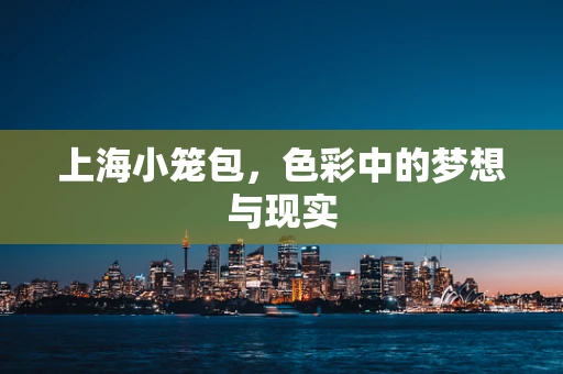 上海小笼包，色彩中的梦想与现实