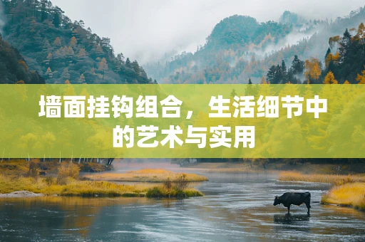 墙面挂钩组合，生活细节中的艺术与实用