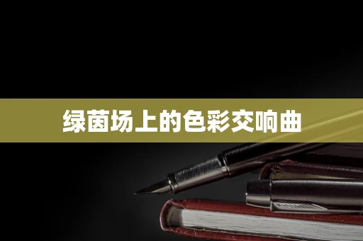 绿茵场上的色彩交响曲