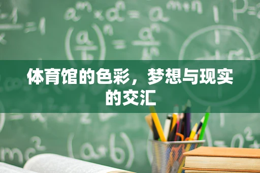体育馆的色彩，梦想与现实的交汇
