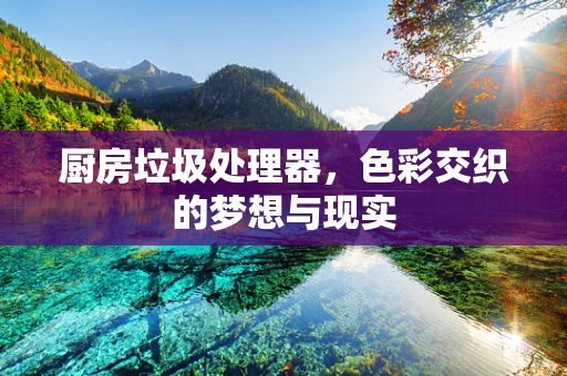 厨房垃圾处理器，色彩交织的梦想与现实