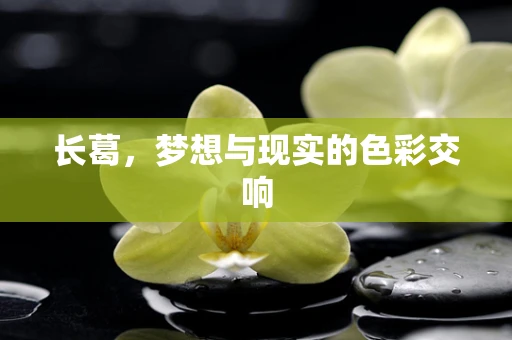 长葛，梦想与现实的色彩交响