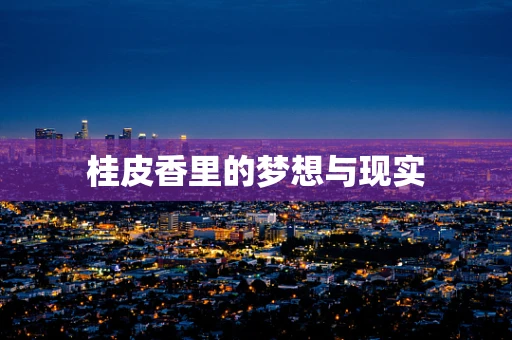 桂皮香里的梦想与现实