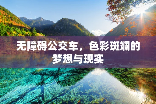无障碍公交车，色彩斑斓的梦想与现实