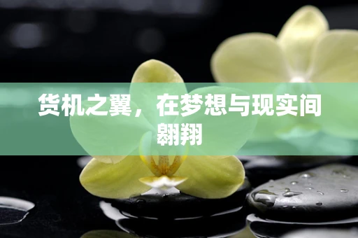 货机之翼，在梦想与现实间翱翔
