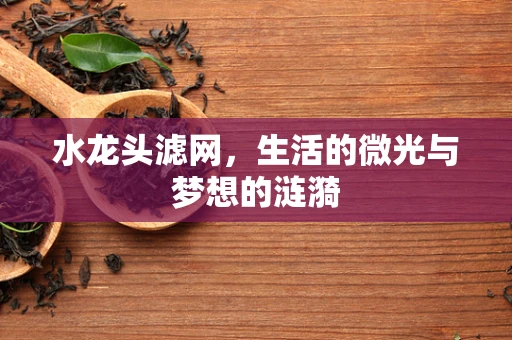 水龙头滤网，生活的微光与梦想的涟漪