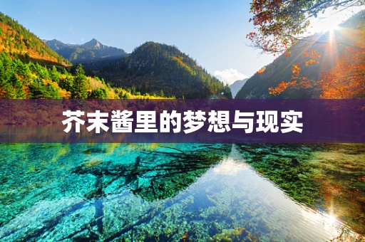 芥末酱里的梦想与现实