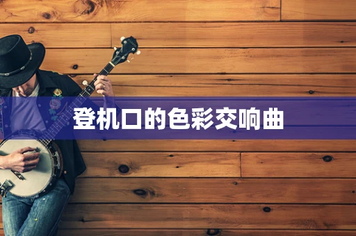 登机口的色彩交响曲