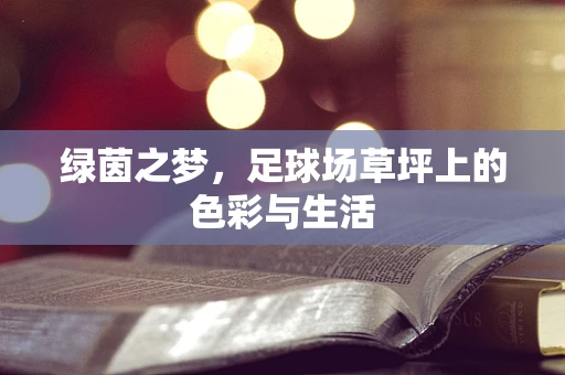 绿茵之梦，足球场草坪上的色彩与生活