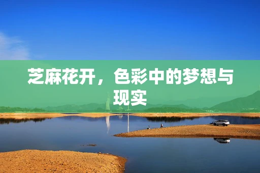 芝麻花开，色彩中的梦想与现实