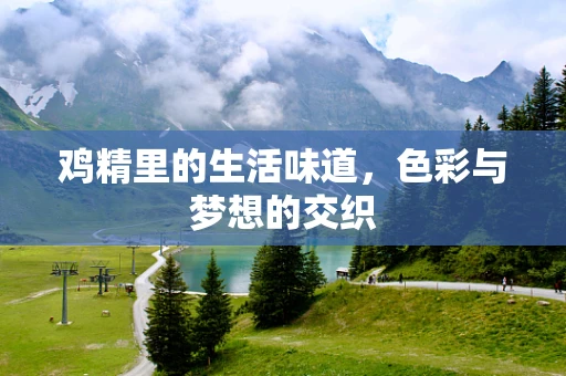 鸡精里的生活味道，色彩与梦想的交织