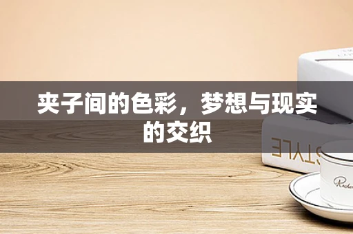 夹子间的色彩，梦想与现实的交织