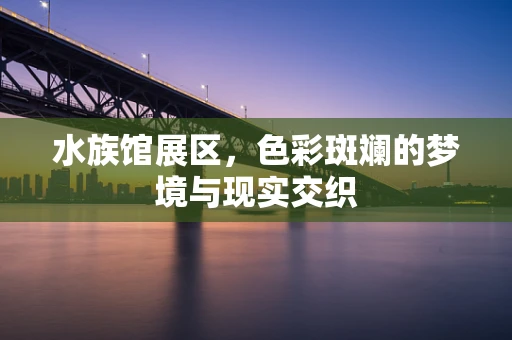 水族馆展区，色彩斑斓的梦境与现实交织