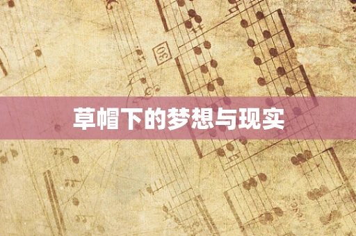 草帽下的梦想与现实