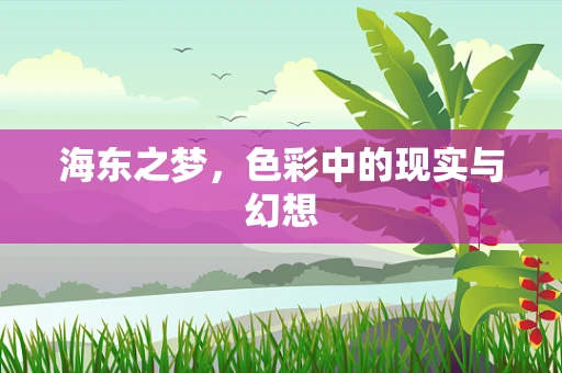 海东之梦，色彩中的现实与幻想