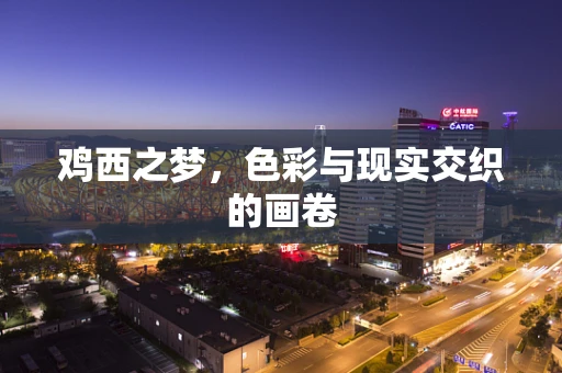鸡西之梦，色彩与现实交织的画卷