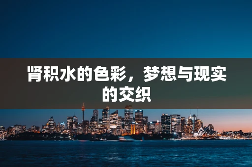 肾积水的色彩，梦想与现实的交织