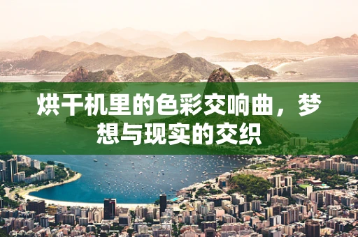 烘干机里的色彩交响曲，梦想与现实的交织