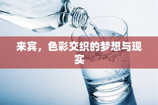 来宾，色彩交织的梦想与现实