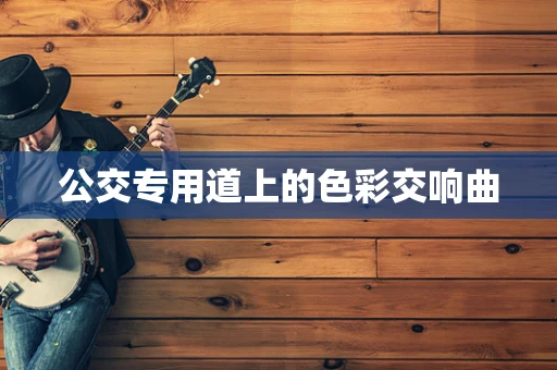公交专用道上的色彩交响曲