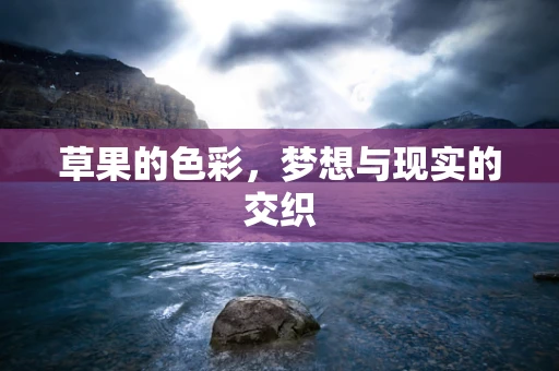 草果的色彩，梦想与现实的交织