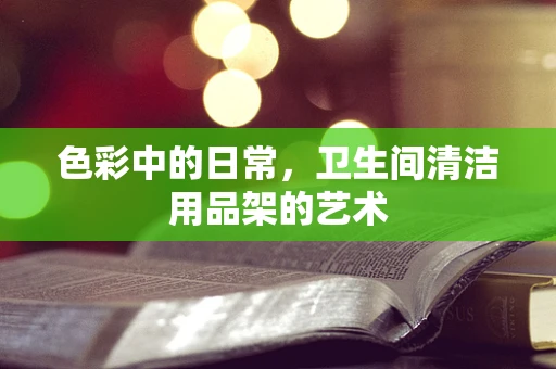 色彩中的日常，卫生间清洁用品架的艺术