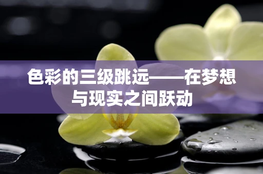 色彩的三级跳远——在梦想与现实之间跃动