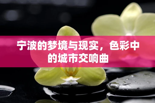 宁波的梦境与现实，色彩中的城市交响曲