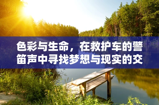 色彩与生命，在救护车的警笛声中寻找梦想与现实的交汇
