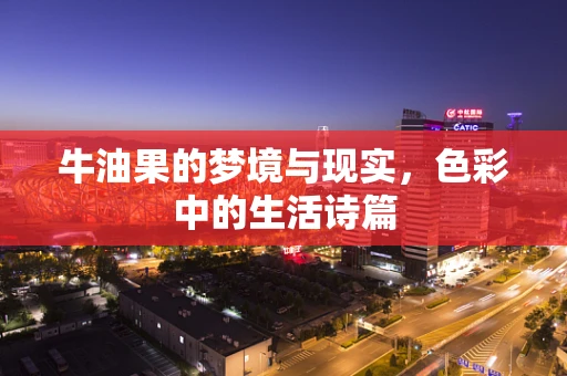 牛油果的梦境与现实，色彩中的生活诗篇