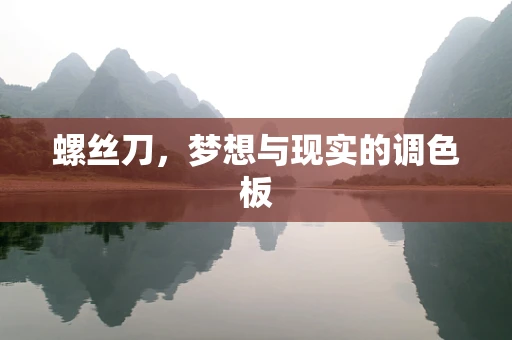 螺丝刀，梦想与现实的调色板
