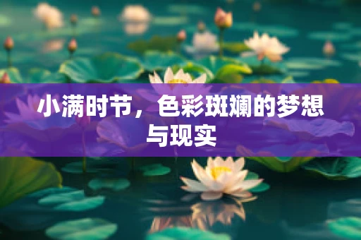 小满时节，色彩斑斓的梦想与现实