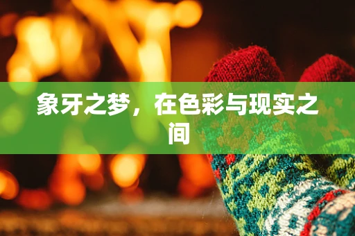 象牙之梦，在色彩与现实之间