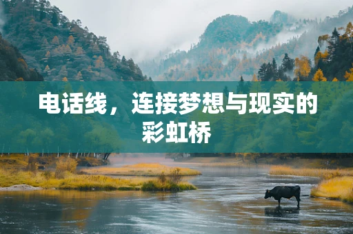 电话线，连接梦想与现实的彩虹桥