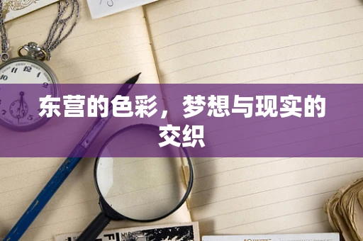 东营的色彩，梦想与现实的交织