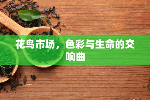 花鸟市场，色彩与生命的交响曲