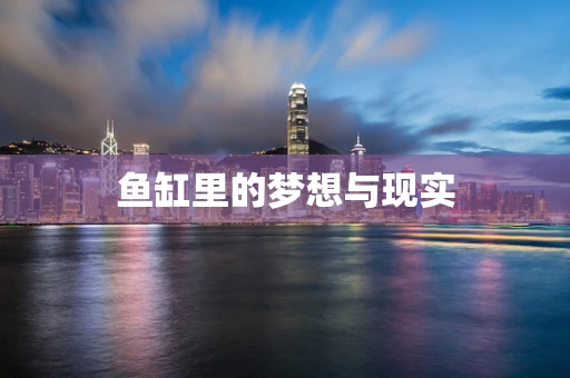 鱼缸里的梦想与现实