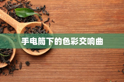 手电筒下的色彩交响曲