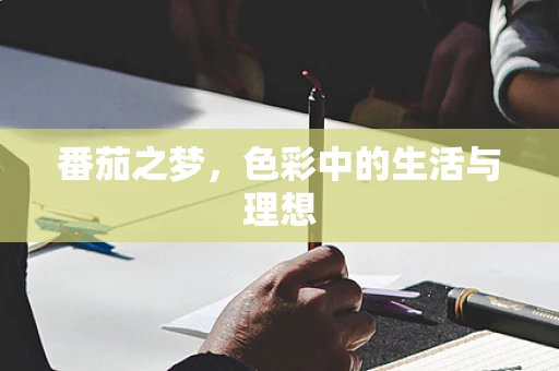 番茄之梦，色彩中的生活与理想