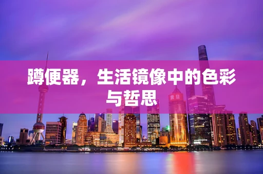 蹲便器，生活镜像中的色彩与哲思