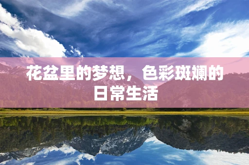 花盆里的梦想，色彩斑斓的日常生活