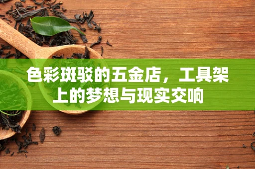 色彩斑驳的五金店，工具架上的梦想与现实交响