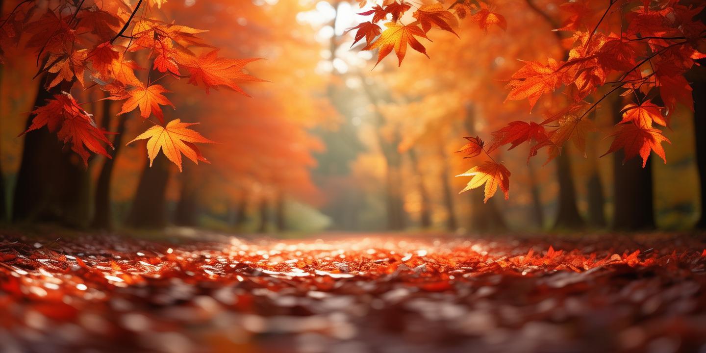 枫火流丹处,镜头藏不住的秋日诗笺—探访那些即将刷爆朋友圈的赏枫秘境 枫火流丹处,镜头藏不住的秋日诗笺—探访那些即将刷爆朋友圈的赏枫秘境